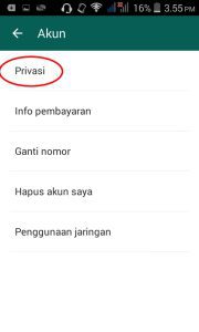 setting privacy whatsapp