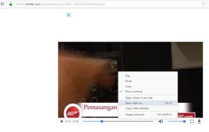 Download Video di Twitter